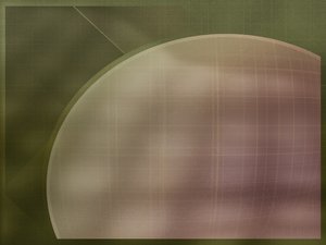 新人学SaaS服务最需要掌握的内容