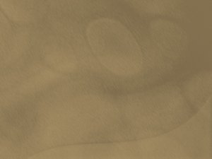 打造高效广告算法团队的经验分享